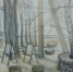 ploschadka-dlya-plenera(1).jpg - Княжпогостский район