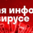 На территории района находятся 6 человек с подтверждённым результатом исследования на COVID-19 - Газета Княжпогостские вести