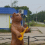 На городской площади обновлена фигура медведя - Газета Княжпогостские вести