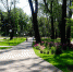 9243fbb5eefeed4b2f06b1539e8d95ed.jpg - Княжпогостский район