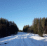 20211102_120612.jpg - Княжпогостский район