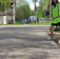 image-26-05-23-03-33.png - Княжпогостский район