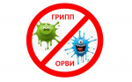 В Коми ожидается подъем заболеваемости гриппом