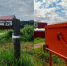 2db411b4-ea99-47d7-81cc-479ca5d30ba5-1.jpg - Княжпогостский район
