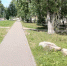 4cc4b3fb-f6d0-4d6f-b65e-adf5b96c4b7a.jpg - Княжпогостский район