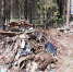 731d064d-d855-4f78-8487-9be15c49c620.jpg - Княжпогостский район