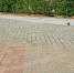 df98e3f5-0761-4cb3-b498-0e60a86ead0c.jpg - Княжпогостский район