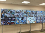2100 наблюдателей и 284 камеры: Гольдштейн проверил организацию выборов в республике