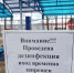 Два случая заболевания клещевым энцефалитом - Газета Княжпогостские вести