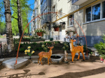 Сказочная красота во дворе многоквартирного дома
